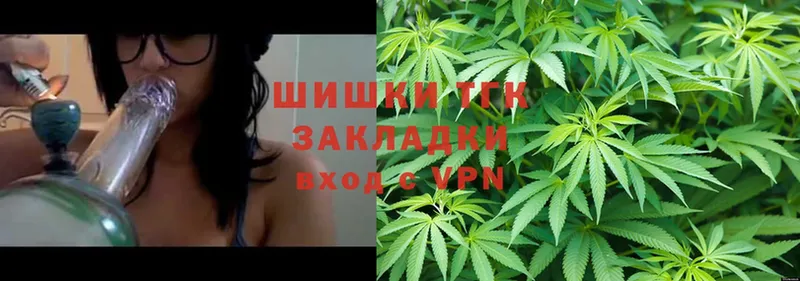 Каннабис SATIVA & INDICA  Жуков 